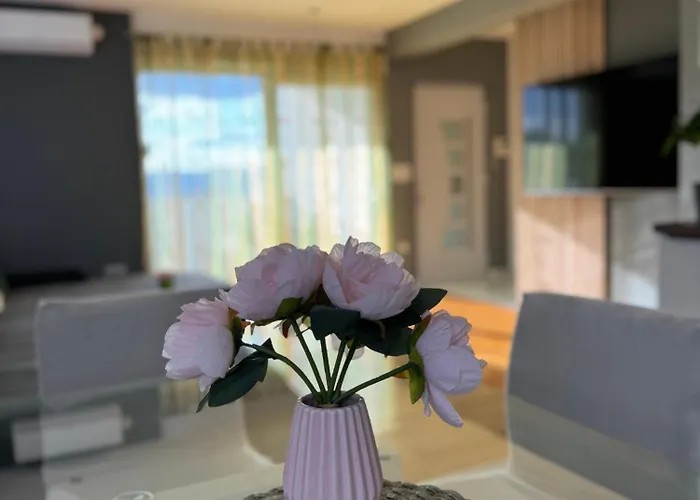 Evergreen * 斯普利特