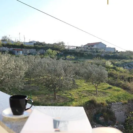 Apartman Evergreen